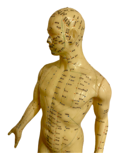 Frédérique Degaille - Praticienne en Énergétique Chinoise